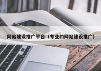 网站建设推广平台（专业的网站建设推广）