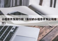 小程序开发排行榜（最好的小程序开发公司排行）