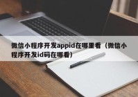 微信小程序开发appid在哪里看（微信小程序开发id码在哪看）