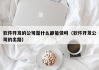 软件开发的公司是什么都能做吗（软件开发公司的出路）