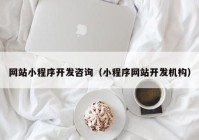 网站小程序开发咨询（小程序网站开发机构）